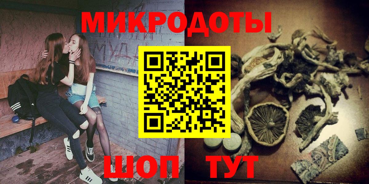 Большой Камень  Галлюциногенные грибы мухоморы  Вход с VPN 